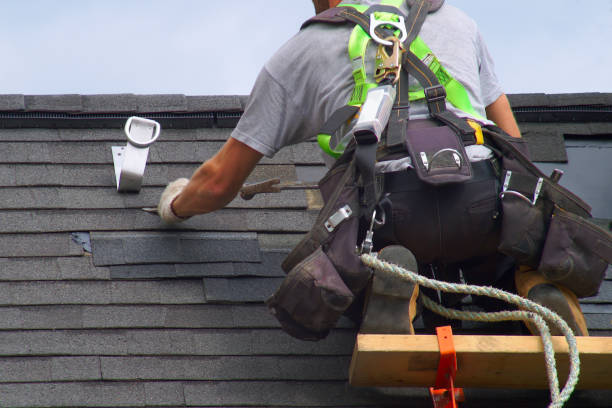 Best Storm Damage Roof Repair  in Ripley, WV
